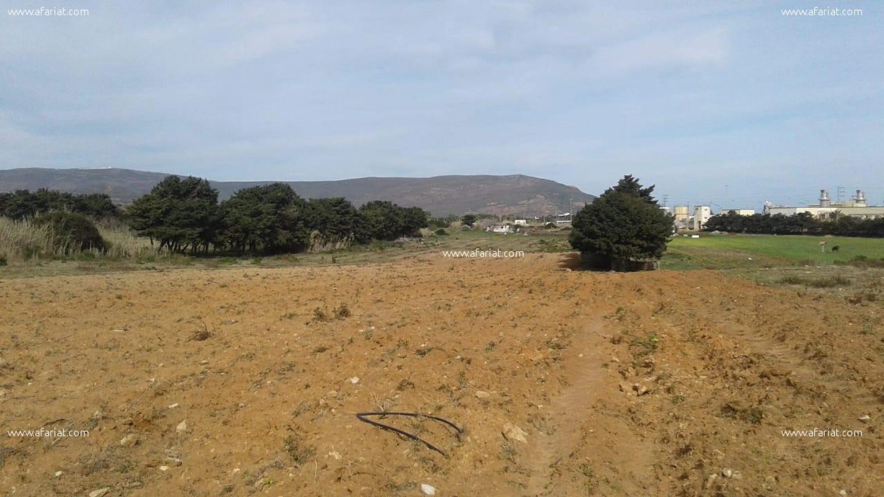 Excellent Terrain Vue Sur Mer A Hawaria Afariat