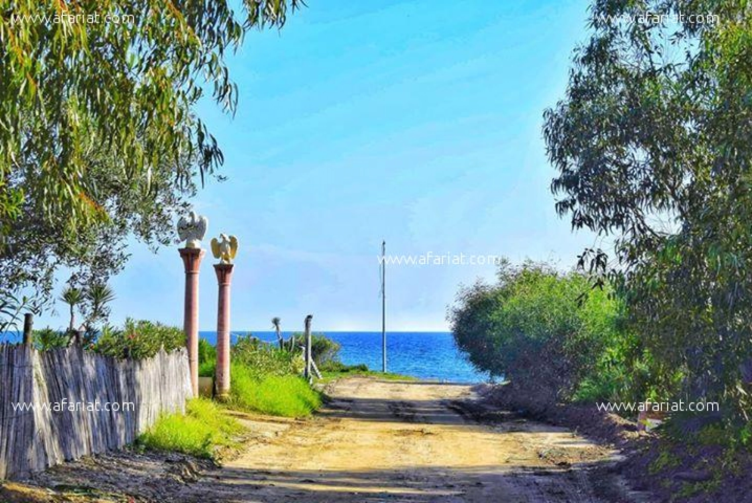 Un Terrain Vue Sur Mer K Libia Kerkouane Afariat