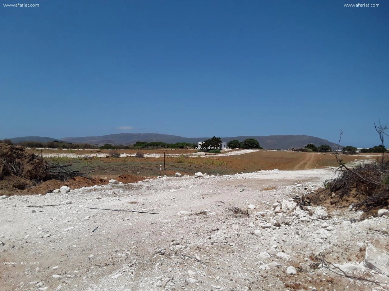 Terrain Vue Sur Mer Hawaria A Dt Afariat