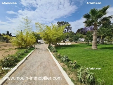 Villa Romeo AL3134 Hammamet Zone Sindbed