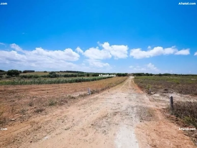 Terrain hawaria