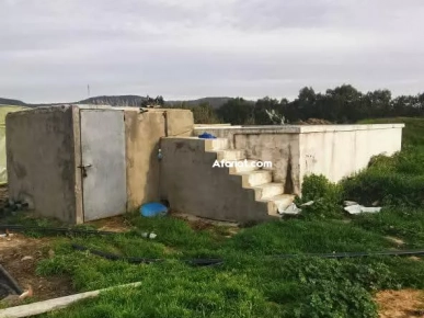 Ferme à Menzel Bouzelfa