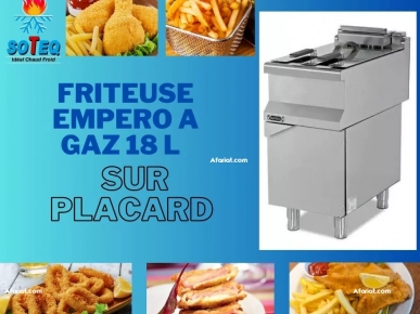 friteuse empero 18 l  sur placarad friteuse empero 18 l  sur placarad