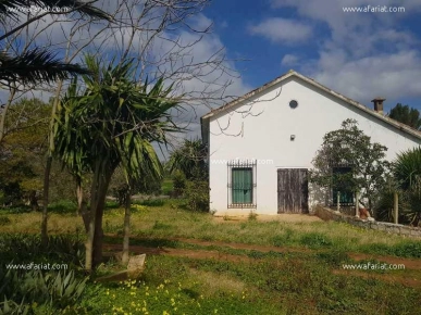 Ferme LA PERGOLA (Réf: T1079)