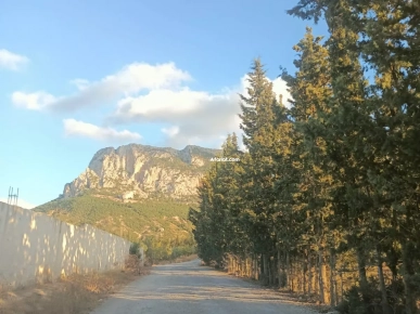 Terrain agricole à Mornag de 1.5 ha