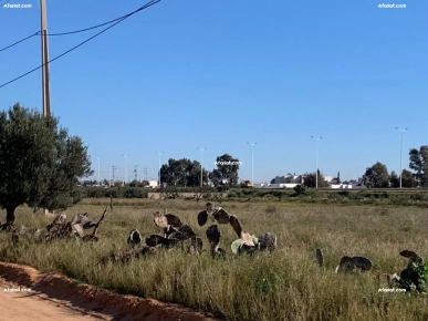 Lot de Terrain à Sfax