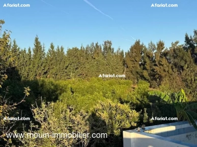 FERME ASIL Beni Ouiel Hammamet T1206