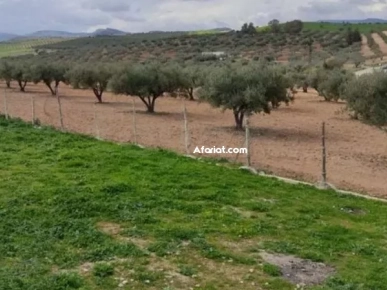 frigo sur un terrain agricole de 3hecatres