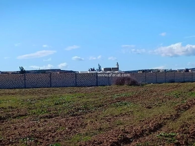 un terrain à El Hammamet