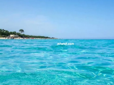 Terrains à Ezzahra plage Terrains à Ezzahra plage