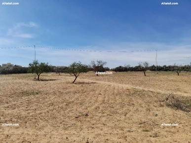 Deux Terrains à Route El-AIn KM 12 Sfax