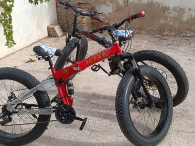 2 beaux VTT importés, pliables