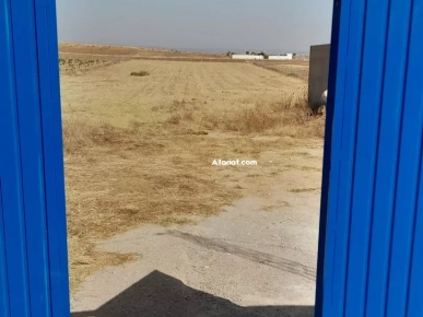 un terrain de 1 hectare à vendre