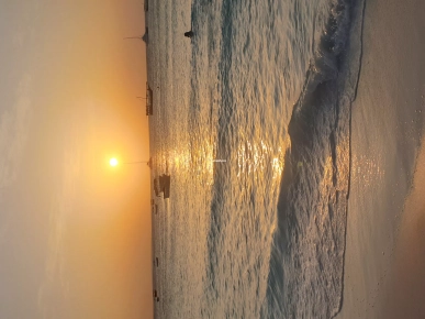 A vendre Agence de Voyages A vendre Agence de Voyages