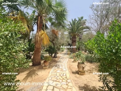 DAR L'OLIVIER I Hammamet Zone Théâtre AL120