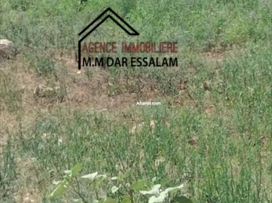 des lots de terrain près de la mer