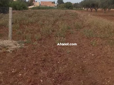 400m² avendre à borjtuil 400m² avendre à borjtuil