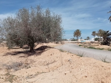 Belle opportunité à Djerba Belle opportunité à Djerba