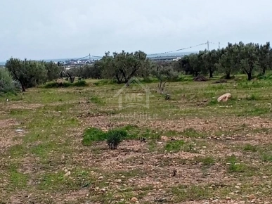 Terrain de 2700 m² à Hammamet Sud à vendre à 200 MD 51355351