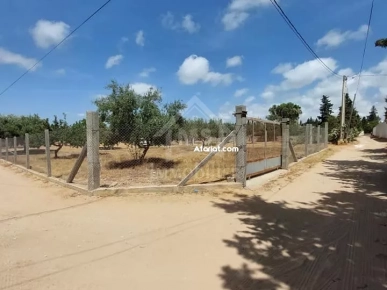 Terrain viabilisé de 600 m² à vendre à Hammamet 51355351