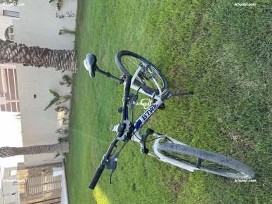trois vélos en bon état