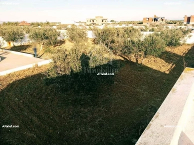 Un terrain de 2100 m² avec 1 studio à Hammamet Sud à vendre