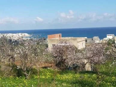 Opportunité Rare: Terrain d'Exception à Rafraf Plage