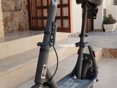 Draisienne Electrique FLYBLADE 350