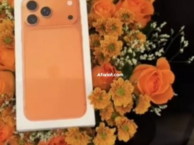 iphone 17 pro max Orange