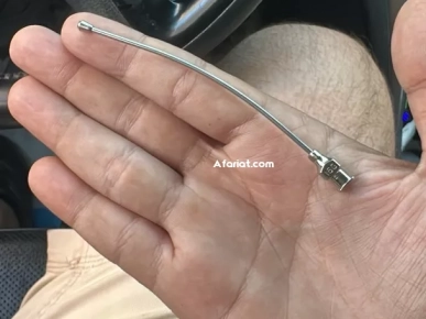 Aiguille de gavage vétérinaire courbée 16G