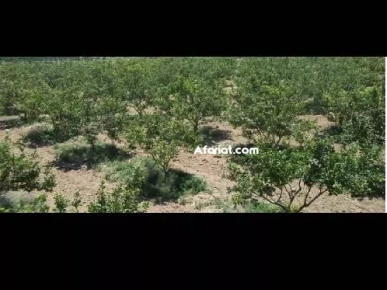 takelsa 2 kh takelsa 2 kh