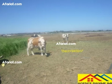 Terrain agricole de 1h et 9400m2 a el haouaria Terrain agricole de 1h et 9400m2 a el haouaria