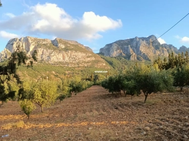 Terrain agricole à Mornag de 1.5 ha