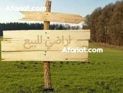 terrain a vendre 28.910817 terrain a vendre 28.910817