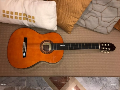 Guitare à vendre