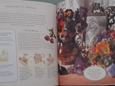 Livre de fleurs pressées Livre de fleurs pressées