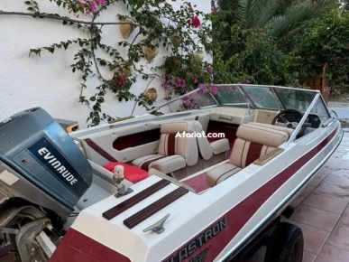 à vendre un bateau en très bon état