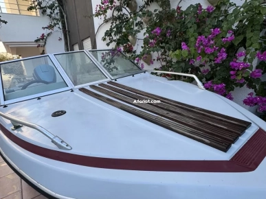 à vendre un bateau en très bon état