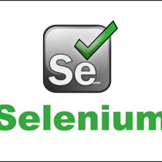 Formation pratique en _ Sélénium Formation pratique en _ Sélénium