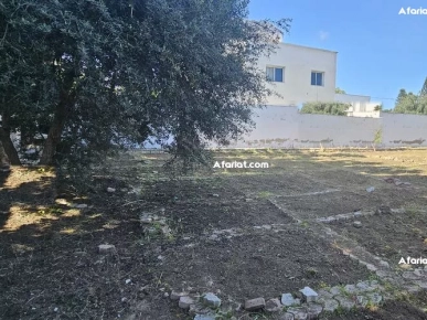 Terrain 831 m² La Soukra — 22 m façade, R+2, titre bleu