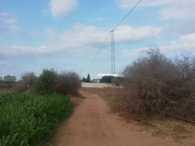 Affaire à ne pas rater Terrain a daroufa Maamoura Nabeul 1022m²