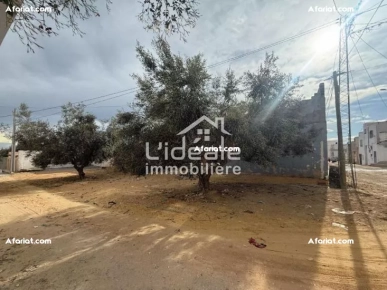 A vendre un beau lot de terrain à Hammamet nord