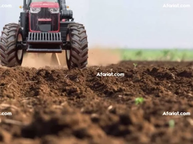 قطاع الفلاحة و تربية الماشية