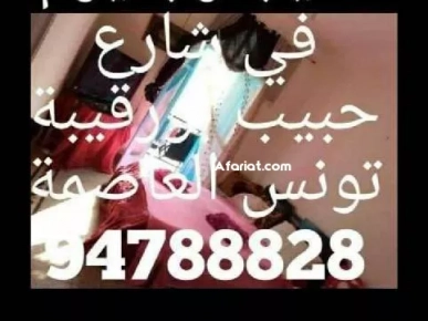 شقق مفروش الإيجار باليوم في تونس العاصمة