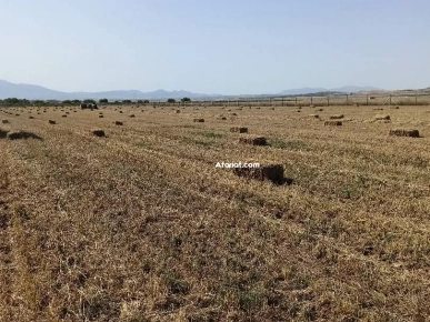 5 Hectares Bir Mchergua