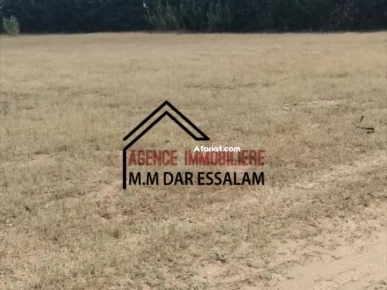 terrain agricole à vendre