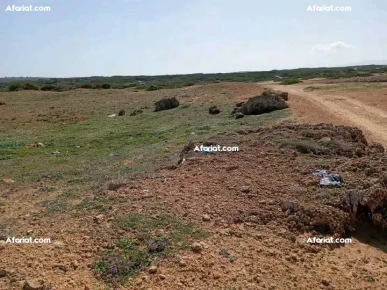 à vendre un terrain vu sur mer 1ère position a la plage