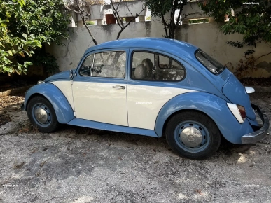 Avendre  coccinelle