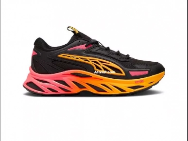 Basket Puma