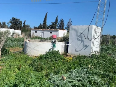 Ferme à Bizerte